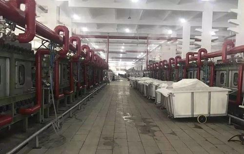 不敢相信 知名印染廠昔日車間機器轟鳴,如今破產重組 你以為開染廠很有錢,后來才發現是很要命